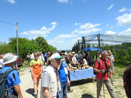 Pomlad v prleških goricah 2017 116